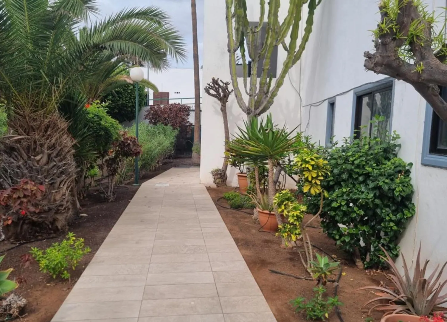 Arkadia Tenerife Costa Del Silencio 0*,